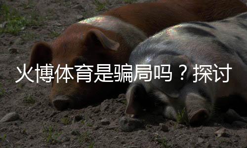 火博体育是骗局吗？探讨真相