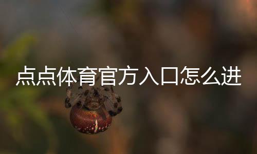 点点体育官方入口怎么进？2026最新官网直达地址与安全登录教程