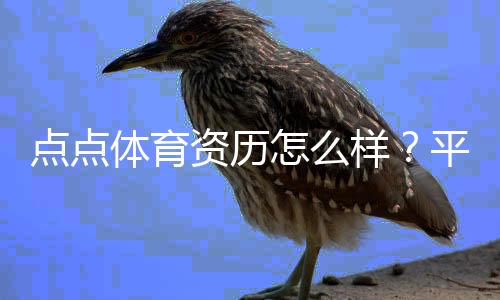 点点体育资历怎么样？平台资质、监管与用户口碑全面评测