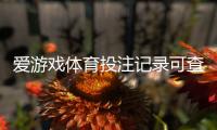 爱游戏体育投注记录可查吗？三步在线查询投注记录与证据保存指南