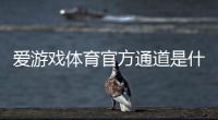 爱游戏体育官方通道是什么意思？新手入门、官方入口与安全使用全攻略