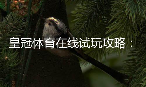 皇冠体育在线试玩攻略：新手注册步骤、试玩方法与安全注意事项