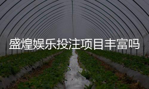 盛煌娱乐投注项目丰富吗？深度解析平台游戏种类与特色玩法