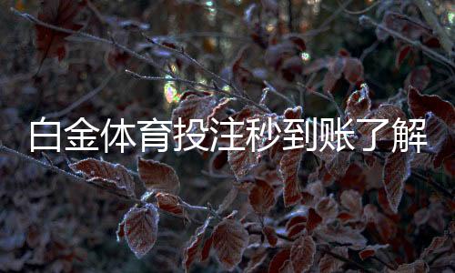 白金体育投注秒到账了解一下？