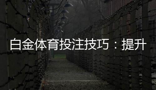 白金体育投注技巧：提升你的胜率！