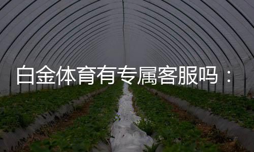 白金体育有专属客服吗：玩家福利大揭秘