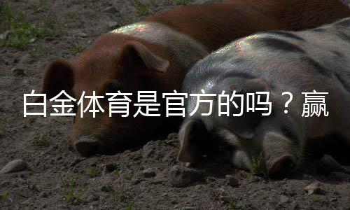 白金体育是官方的吗？赢取丰厚回报