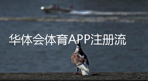 华体会体育APP注册流程详解：新手注册步骤、实名认证与常见问题一看就懂
