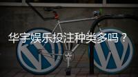 华宇娱乐投注种类多吗？深度解析平台游戏项目与特色玩法