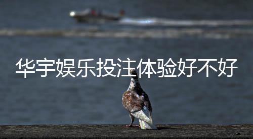 华宇娱乐投注体验好不好？资深玩家亲测真实感受分享