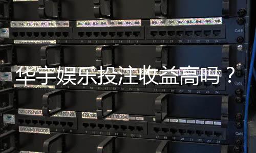 华宇娱乐投注收益高吗？深度解析高回报背后的真相与技巧
