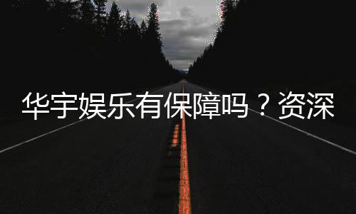 华宇娱乐有保障吗？资深玩家揭秘平台安全性与游戏体验