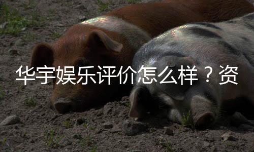 华宇娱乐评价怎么样?资深玩家真实体验分享