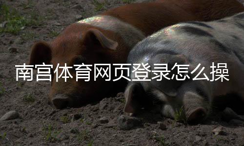 南宫体育网页登录怎么操作？新手注册登录步骤与常见问题解答