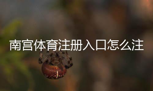 南宫体育注册入口怎么注册？新手开户流程、验证与安全注意事项