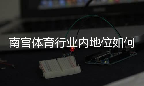 南宫体育行业内地位如何？市场份额、核心竞争力与发展前景深度解析