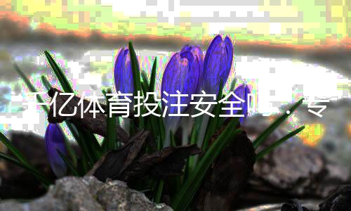 千亿体育投注安全吗:专业评测揭秘