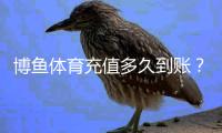博鱼体育充值多久到账？最快到账时间、延迟原因与解决办法详解