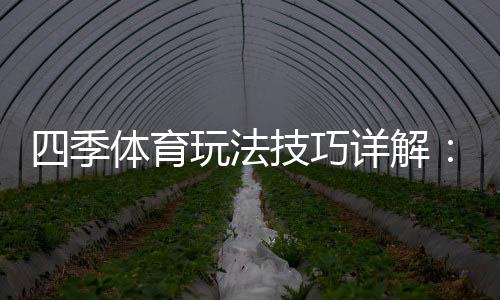 四季体育玩法技巧详解：新手快速上手与实战盈利攻略