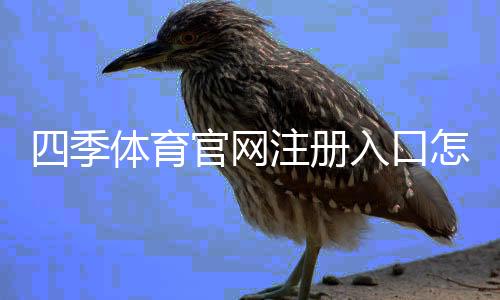 四季体育官网注册入口怎么进？最新版注册流程与常见问题解答