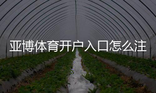 亚博体育开户入口怎么注册？新手一步步开户教程与常见问题解答