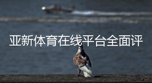 亚新体育在线平台全面评测与新手使用指南：注册、充值、玩法与安全攻略