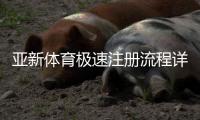 亚新体育极速注册流程详解：新手快速完成注册与安全注意事项