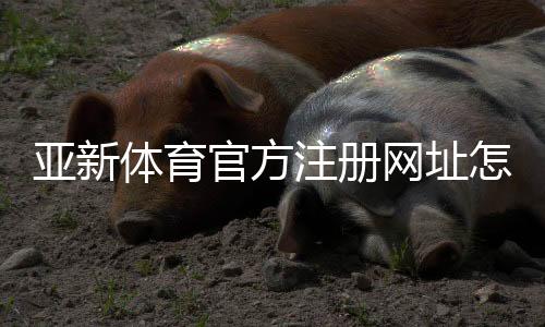 亚新体育官方注册网址怎么找？官方注册链接、注册步骤与安全验证详解