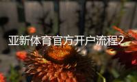 亚新体育官方开户流程2026最新版：新手注册步骤、实名认证与常见问题详解