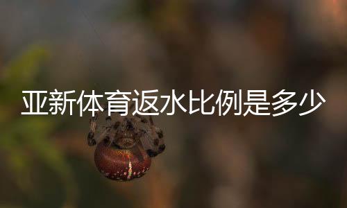 亚新体育返水比例是多少？2026最新返水率、计算方法与领取攻略