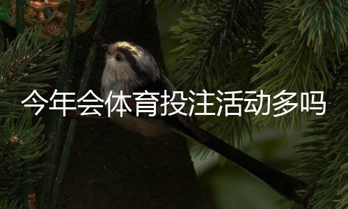 今年会体育投注活动多吗？平台促销趋势解读与理性参与建议