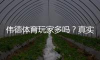 伟德体育玩家多吗？真实玩家数量与活跃度深度揭秘