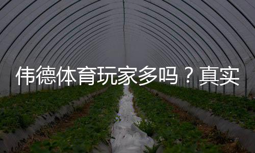 伟德体育玩家多吗？真实玩家数量与活跃度深度揭秘