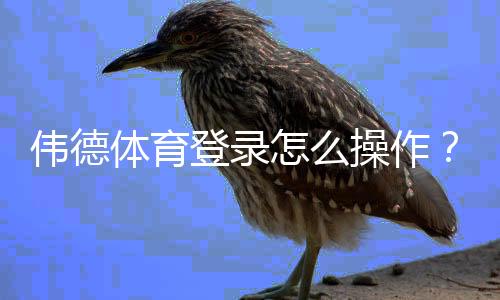 伟德体育登录怎么操作？新手注册、密码找回与安全设置全攻略