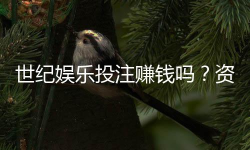 世纪娱乐投注赚钱吗？资深玩家揭秘稳定盈利的三大技巧