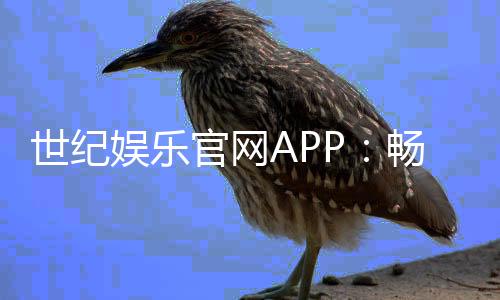 世纪娱乐官网APP：畅享顶级棋牌电游的尊贵体验