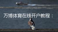 万博体育在线开户教程：新手注册步骤、身份验证与安全注意事项一看就懂