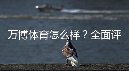 万博体育怎么样？全面评测：安全可靠吗、真实用户体验与充值提现攻略