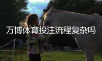 万博体育投注流程复杂吗？新手必看：开户、充值、投注到提现全流程详解