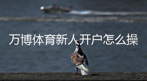 万博体育新人开户怎么操作？注册流程、身份验证与首存优惠全攻略