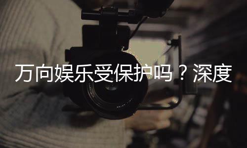 万向娱乐受保护吗？深度解析其安全性与玩家保障措施