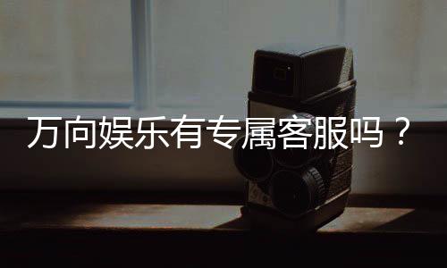 万向娱乐有专属客服吗？揭秘平台VIP服务与客服体验