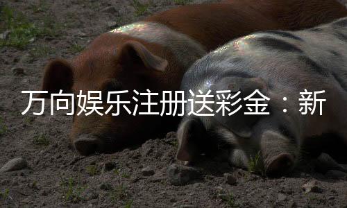 万向娱乐注册送彩金：新会员专享彩金福利大放送