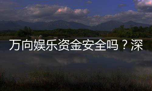 万向娱乐资金安全吗？深度解析平台资金保障措施