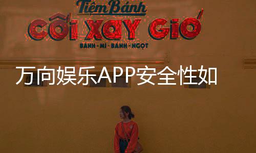 万向娱乐APP安全性如何？深度解析其资金保障与数据防护措施