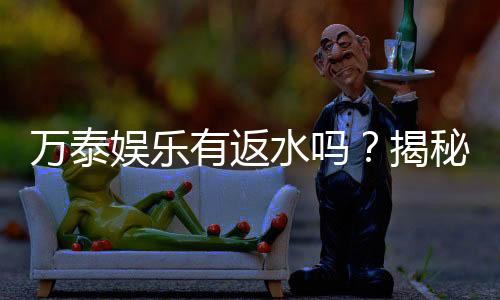 万泰娱乐有返水吗？揭秘返水优惠与玩法攻略