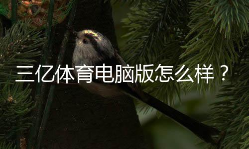 三亿体育电脑版怎么样？功能、稳定性与安全性全面评测