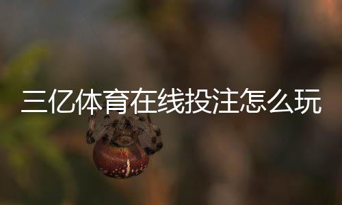 三亿体育在线投注怎么玩？新手注册、充值、玩法与安全攻略