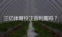 三亿体育投注返利高吗？真实返利率揭秘与收益计算方法