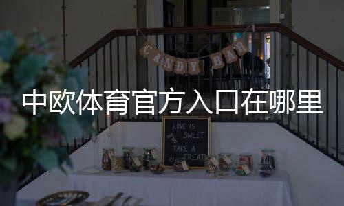 中欧体育官方入口在哪里？新手快速访问、登录与安全识别全攻略
